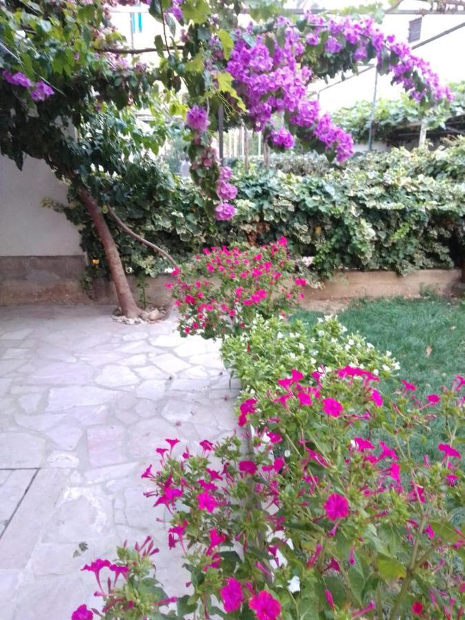 Apartment Andelka Omiš Dış mekan fotoğraf