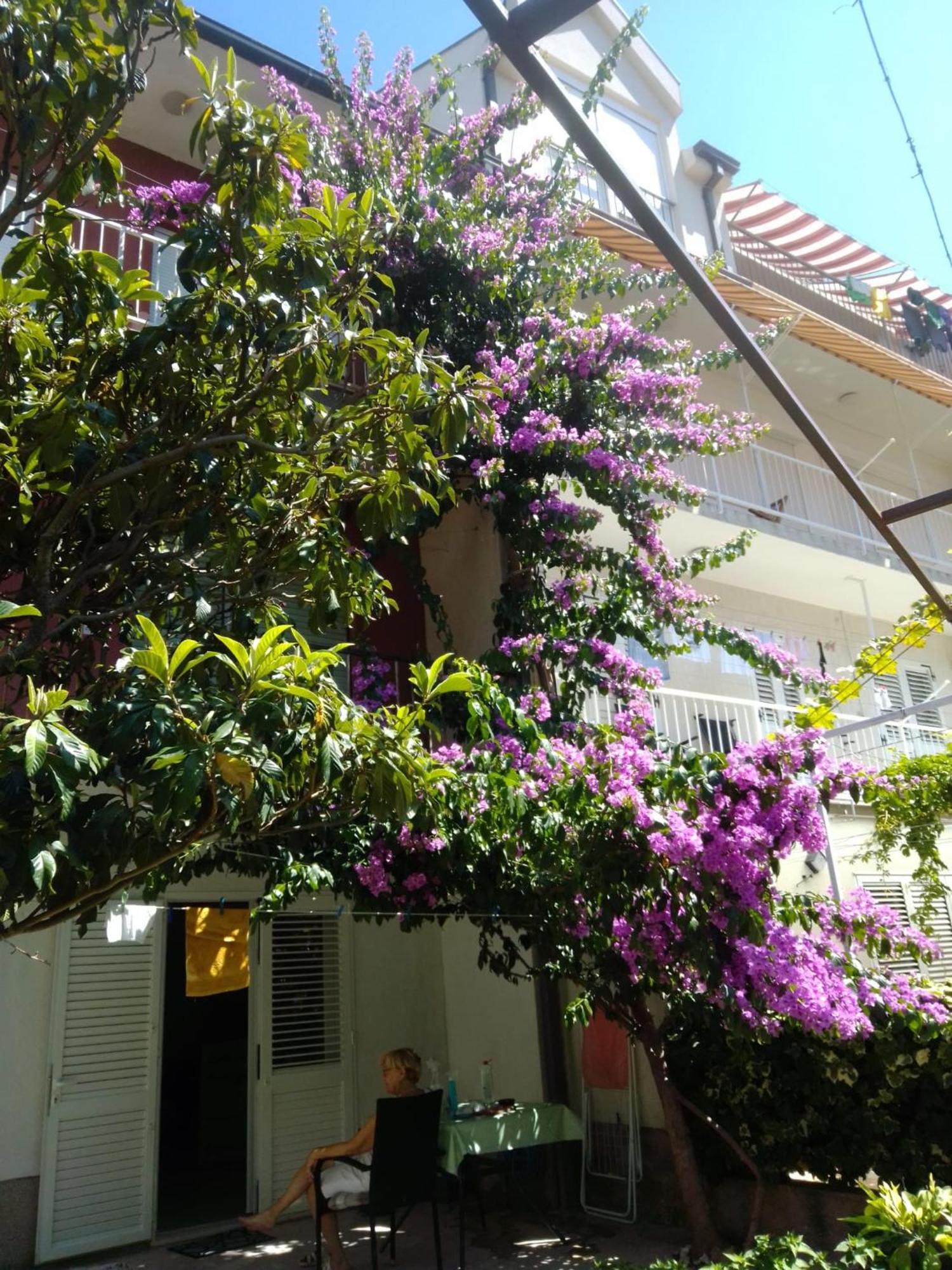 Apartment Andelka Omiš Dış mekan fotoğraf