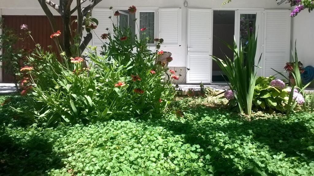 Apartment Andelka Omiš Dış mekan fotoğraf